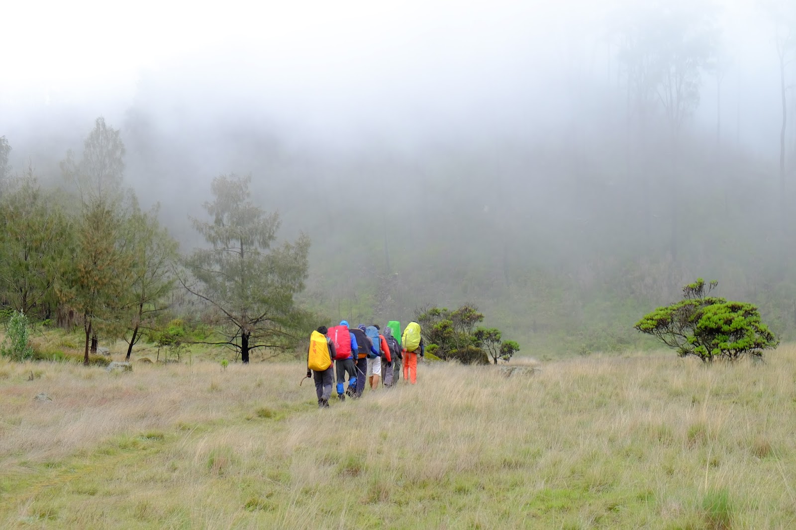 Hiking Gunung Argopuro